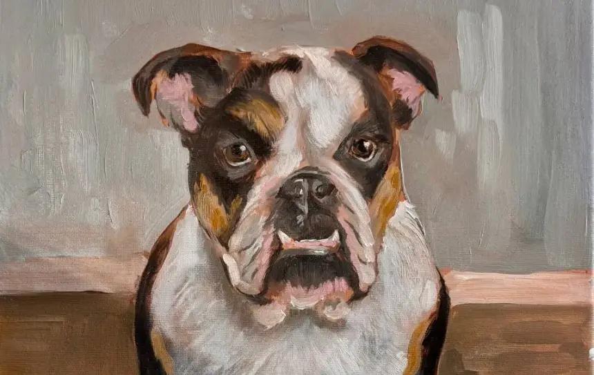 Три собаки: Гризольда, Джессика и Джой- вдохновение для портретов питомцев