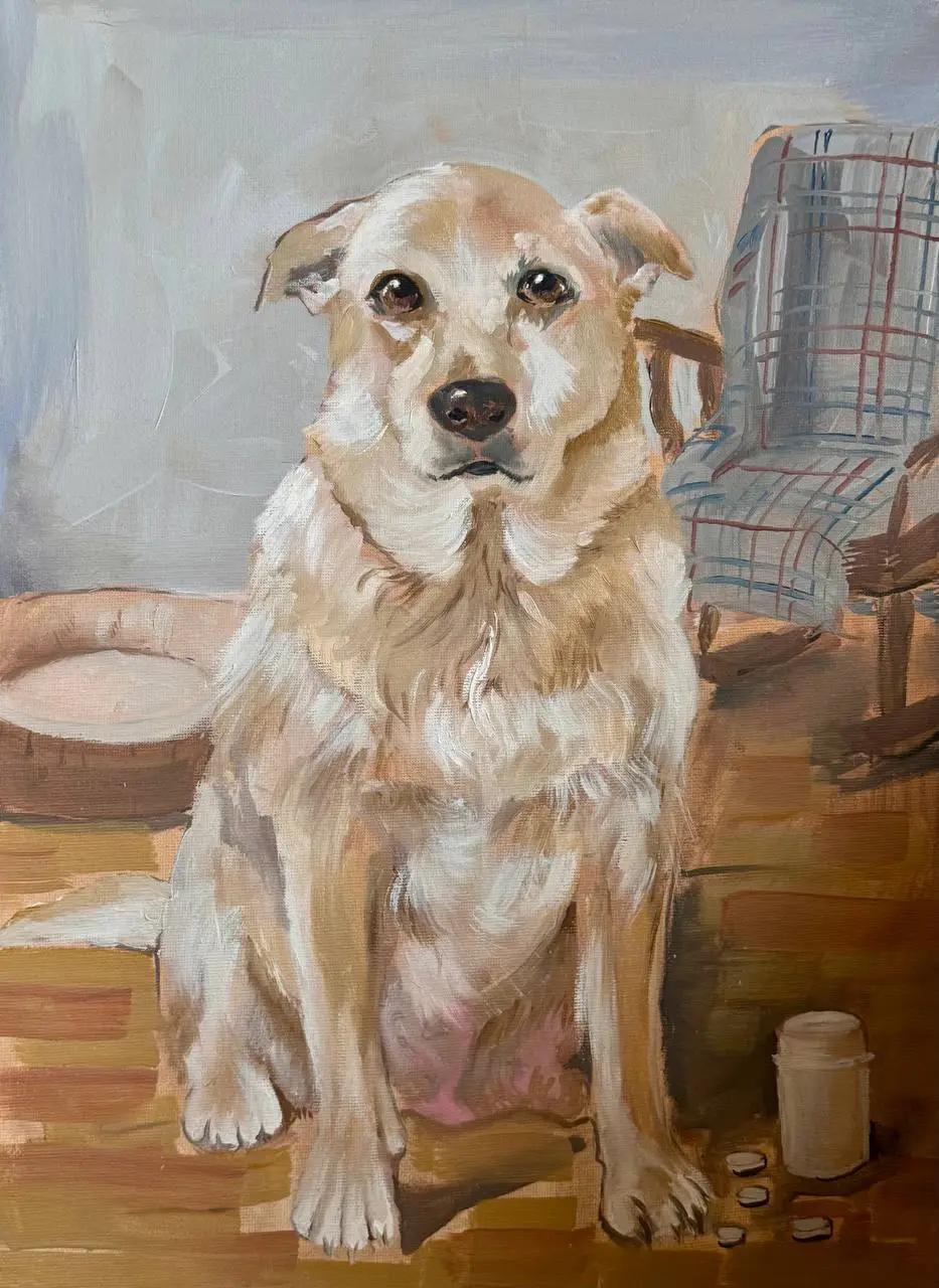 Портрет питомца: Джой Портрет питомца: Джой - портрет питомца, масло, холст (30×40 см), авторская работа Анастасии Суминой, DRЁMA Art Gallery